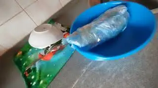 Забежала на обед.Приготовила , вроде съедобно 😁.