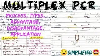 Multiplex PCR ( Process, types, advantage, disadvantage, Applications) #types of PCR🤩#notes