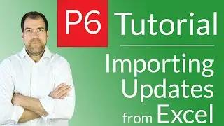 Primavera P6 Tutorial: Importing Primavera Updates from an Excel Spreadsheet