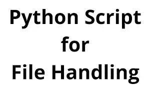 Python Script for File Handling