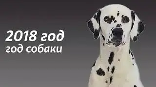 Поздравление с Новым годом