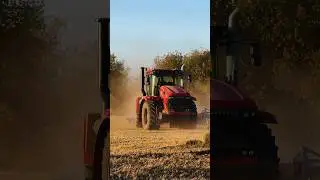 Вот так встреча! 😱🤯
