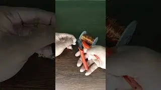 Electricity to Magnetic Energy #engineers_butty_lab_bd #shorts #short