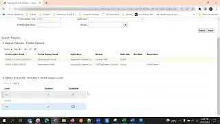 Creating Custom Profile Options in Oracle Fusion Cloud