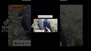 Монашка застряла #shorts #рекомендации #тренды #девушка