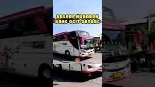 BASURI MUNAROH BANG OCIT DATANG #basuri #telolet #teloletbasuri #bustelolet