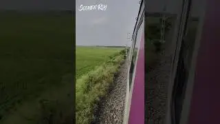 গরুর 🐄 জন্য Train 🚆 late ....