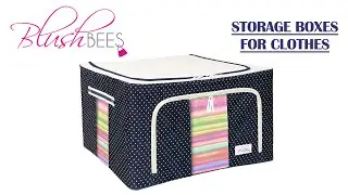 BlushBees Living Box for Wardrobe | Closet Organizer | Cloth Storage Boxes