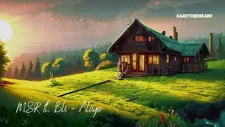 ALAYA - MSR ft. BLI (Electro Folk)