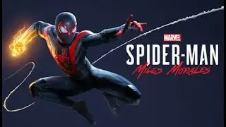 Spider-Man Miles Morales / Xeon E5-2650 v2 / RX 570 / FPS TEST
