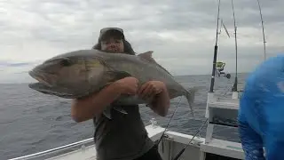 Offshore GIANT | Jigging & Live baiting South Australia