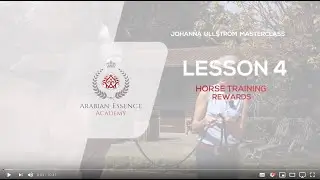 Johanna Ullstrom Masterclass - Lesson 4