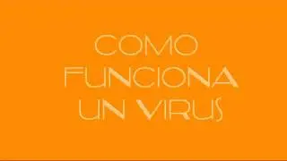 Como funciona un virus-antivirus