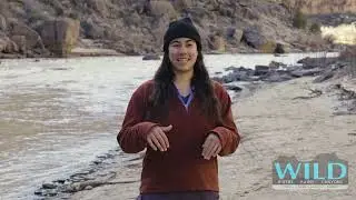 San Juan Multi Day Video By Wild