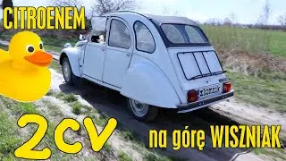 Złomnik: Citroen 2CV is a car hippie