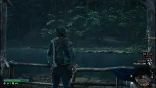 Forest Survival Camp | DAYS GONE