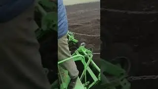 сев чечевицы