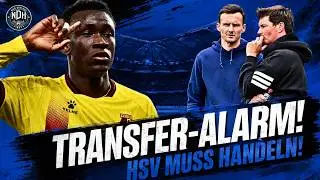 HSV NEWS! TRANSFER ALERT! HSV chasing England striker – pressure is mounting!