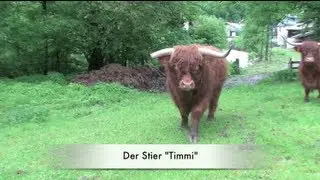 Der Tag nach dem Hochwasser + Ausschnitte