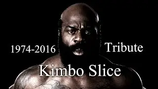 Tribute to Kimbo Slice (Rest In Peace) 10 Memorable Moments