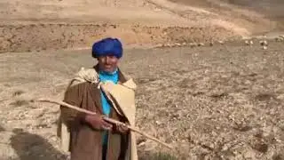 الراعي الأصيل ودربه محترف فمن اجلك نعجب بكلماتك ولو أن الكتير لن يفهمها فلا داعي للقلق فقط تكفي نظرت