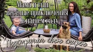 #45 Стрижка спиреи II Садовые будни