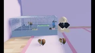 GUINEA PIG SIMULATOR!! (I ESCAPED)