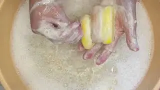 Мыление - болталка 🧼Прилепушки дегтярно - лимонные🍋