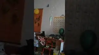 кошка и шарик на стене (смотреть до конца)