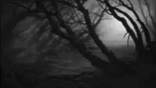 Bambi~My Heart Will Go On~Celine Deon