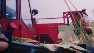 Селигер 2010  5 день