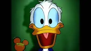 Quack Pack Intro (H264) (TDSCA) (iCAP)