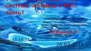 Энерго-информационная система человека и КФС. часть1