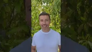 Максим Галкин: 