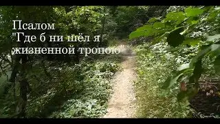 Psalms 