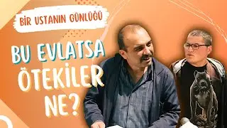 Süngerin Üstüne Koyduğum Gres Yağını Cheesecake Sanmış Oğlum 🙂 - Sezai Usta Günlükleri #3