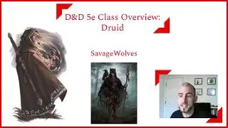 D&D 5e Class Overview #5: Druid