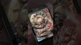 Урок 1  Археологический рисунок в Procreate Часть 1
