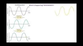 A level physics - simple harmonic motion - resonance