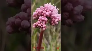 3 мая 2024 г.Павлодар