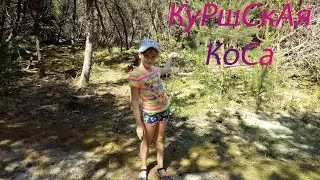 #Алёнкаплюс #Алёнка #AlenkaPlus #КуршскаяКоса Алёнка на Куршскай Косе Калининградской области.