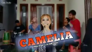 CAMELIA - Nadia Angel Live GMB Studio