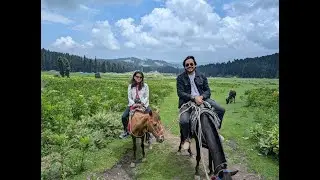Kashmir Again ! ভূস্বর্গে আবার ! কাশ্মির vlog
