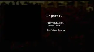 Snippet 10
