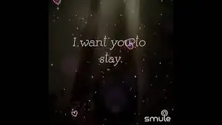 Stay
