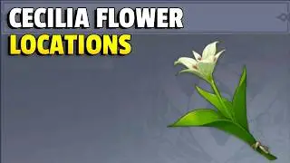Cecilia Flower Locations Venti & Albedo Ascension Genshin Impact