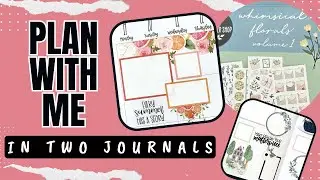 Plan With Me [In TWO Journals]