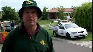 Greenhouse Landscapes - Dingo Mini Digger owner
