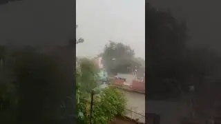 heavy raining and wind 🌧️ #rain #nature #wind #shorts