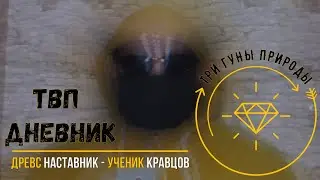 ТВП Дневник 12  Как можно изменить судьбу ГУНЫ ДРЕВС Наставник Ученик Кравцов
